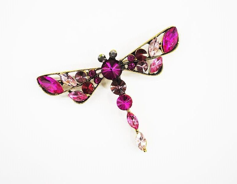 Broche de fiesta libélula