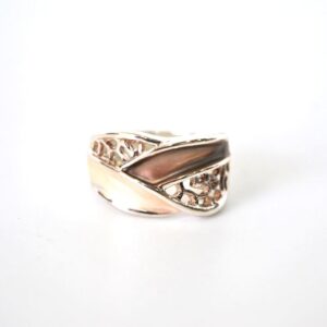 Anillo plateado esmaltes marrones