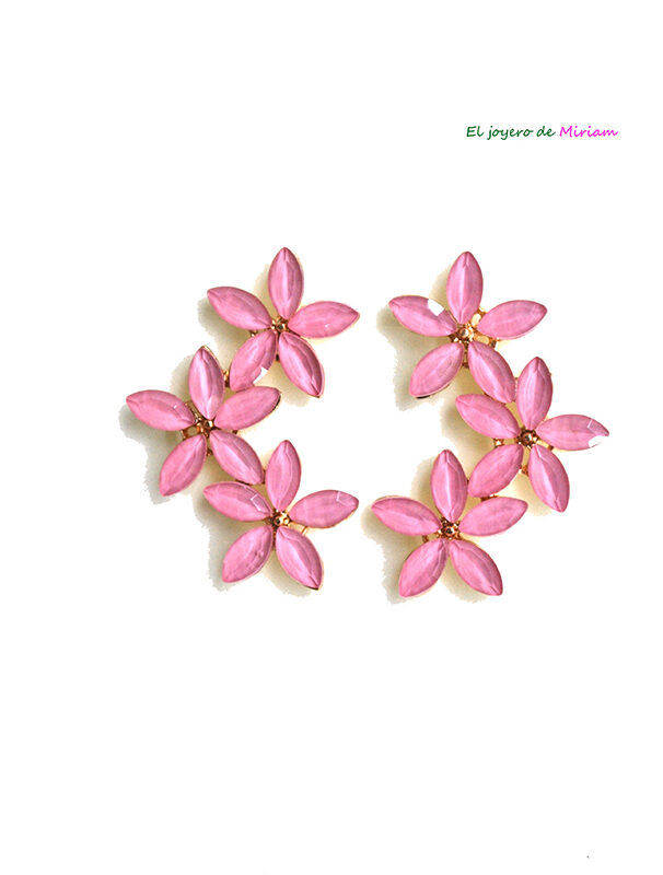 Pendientes rosas flores
