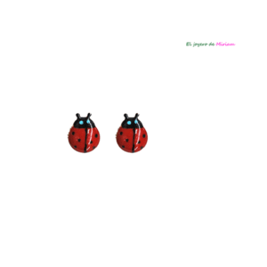 Pendientes mariquitas acero