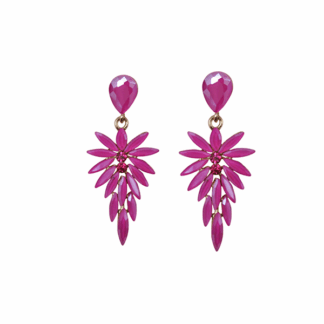 Pendientes alargados fucsias