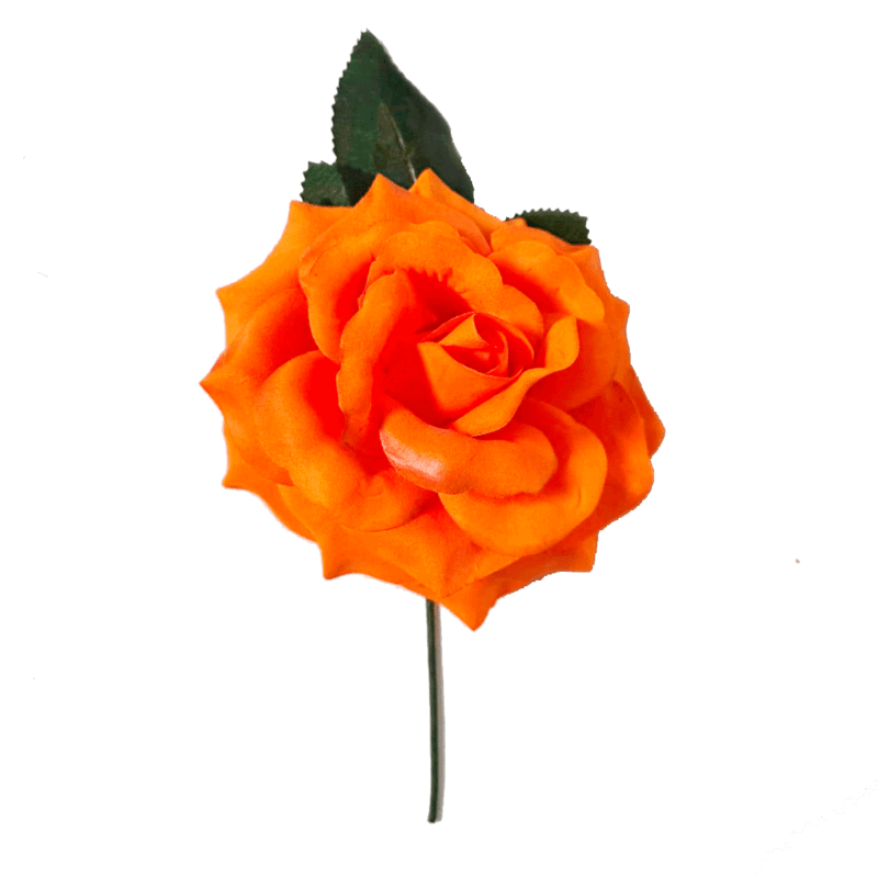 Flor naranja flamenca