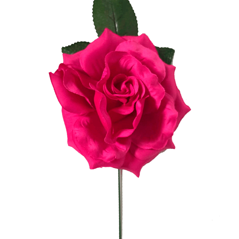 Flor flamenca rosa fucsia